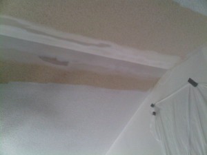 Ceiling Repairs 2